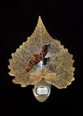 Wild Bird Silhouette on Real 24K Gold Cottonwood Leaf Nightlight