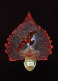 Wild Bird Silhouette on Real Iridescent Cottonwood Leaf Nightlight