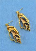 Gold Plated Strombus w/Slice Earrings