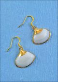 Gold Plated White Clam Earrings