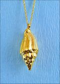 Vexillium Plicarium Shell Pendant in Gold