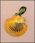 Real Shell Ornament in Gold - Pectin