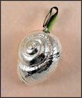 Real Shell Ornament in Silver - Snail