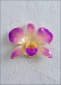 Lilac Natural Dendrobium Orchid Pin