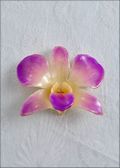 Lilac Natural Dendrobium Orchid Pin
