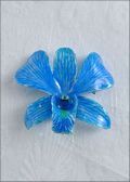 Light Blue Natural Dendrobium Orchid Pin