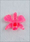 Pink Natural Dendrobium Orchid Pin