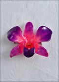 Purple/Pink Natural Dendrobium Orchid Pin