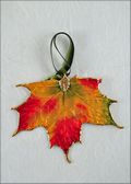 Sugar Maple Leaf Ornament - Gold Trimmed in Fall Multi Colors