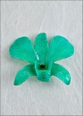 Teal Green Dendrobium Orchid Pin