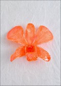 Orange Dendrobium Orchid PIn