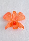 Orange Dendrobium Orchid PIn