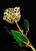 Gold Trimmed Leopard Rose, White with Black Spots, Custom Box