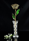 Gold Trimmed Zebra Rose with Bud Vase
