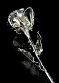 10" - 12" Silver Rose w/Leaves