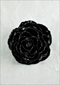 Large Open Blossom Bar Pin in Black