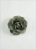 Medium Open Rose Blossom Pin in Black Veins