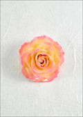 Medium Open Rose Blossom Pin in Cream Pink