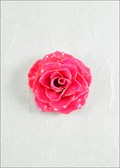 Medium Open Rose Blossom Pin in Fuchsia