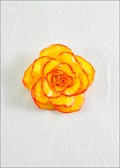 Medium Open Rose Blossom Pin in Yellow Red