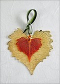 Gold Cottonwood w/Iridescent Cottonwood Leaf Double Ornament