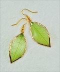 Gold Trimmed Rubber Leaf Earring in Green