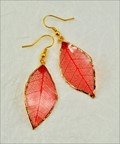 Gold Trimmed Rubber Leaf Earring in Red