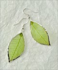 Silver Trimmed Rubber Leaf Earring in Green