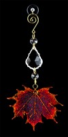 Real Sugar Maple Leaf Suncatcher in Iridescent Copper