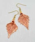 Birch Earring - Rose Gold