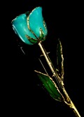 Gold Trimmed Rose in Aqua Green Opal