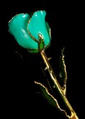 Gold Trimmed Rose in Monet Green