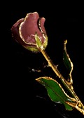 Gold Trimmed Rose in Chocolate Brown Color