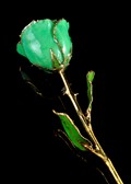 May Rose - Emerald Gold Trimmed Rose