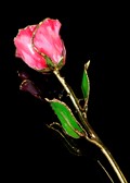 July Rose - Ruby Gold Trimmed Rose