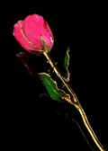 October Rose - Tourmaline Gold Trimmed Rose