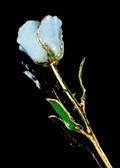 Frozen Blue Sparkle Gold Trimmed Rose