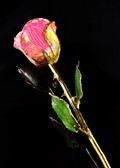 Gold Trimmed Wicked Floral Garden Rose, Custom Boxed